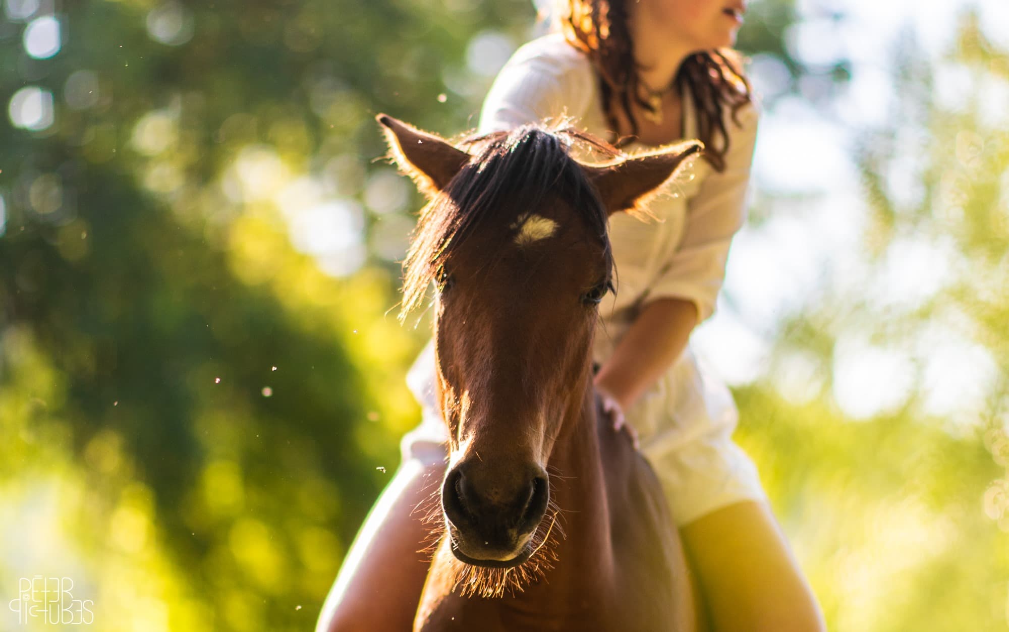 Lovasóra gyerekeknek a Nomád Bár lovasudvarában