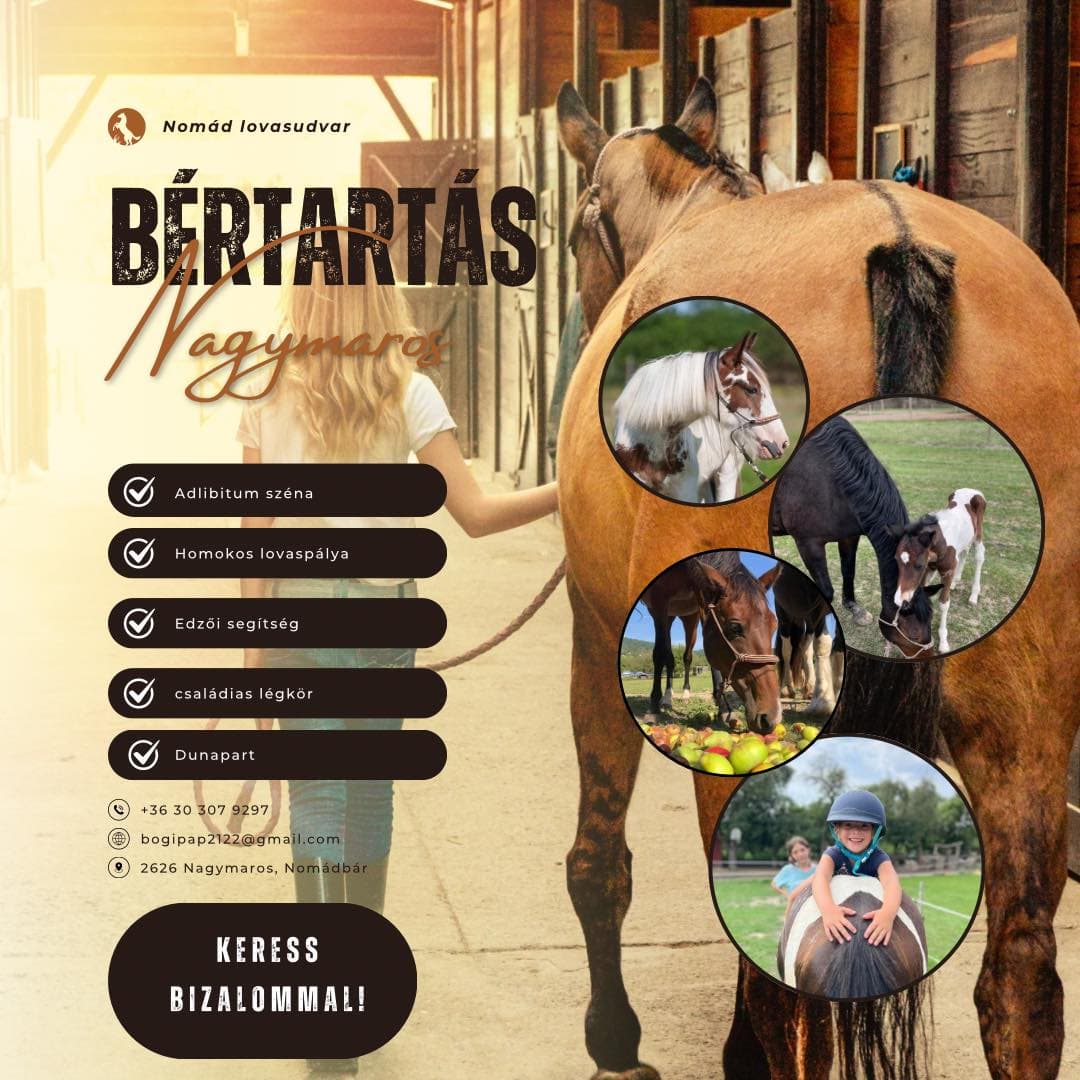 Lovas edzések, bérletek és bértartás 3