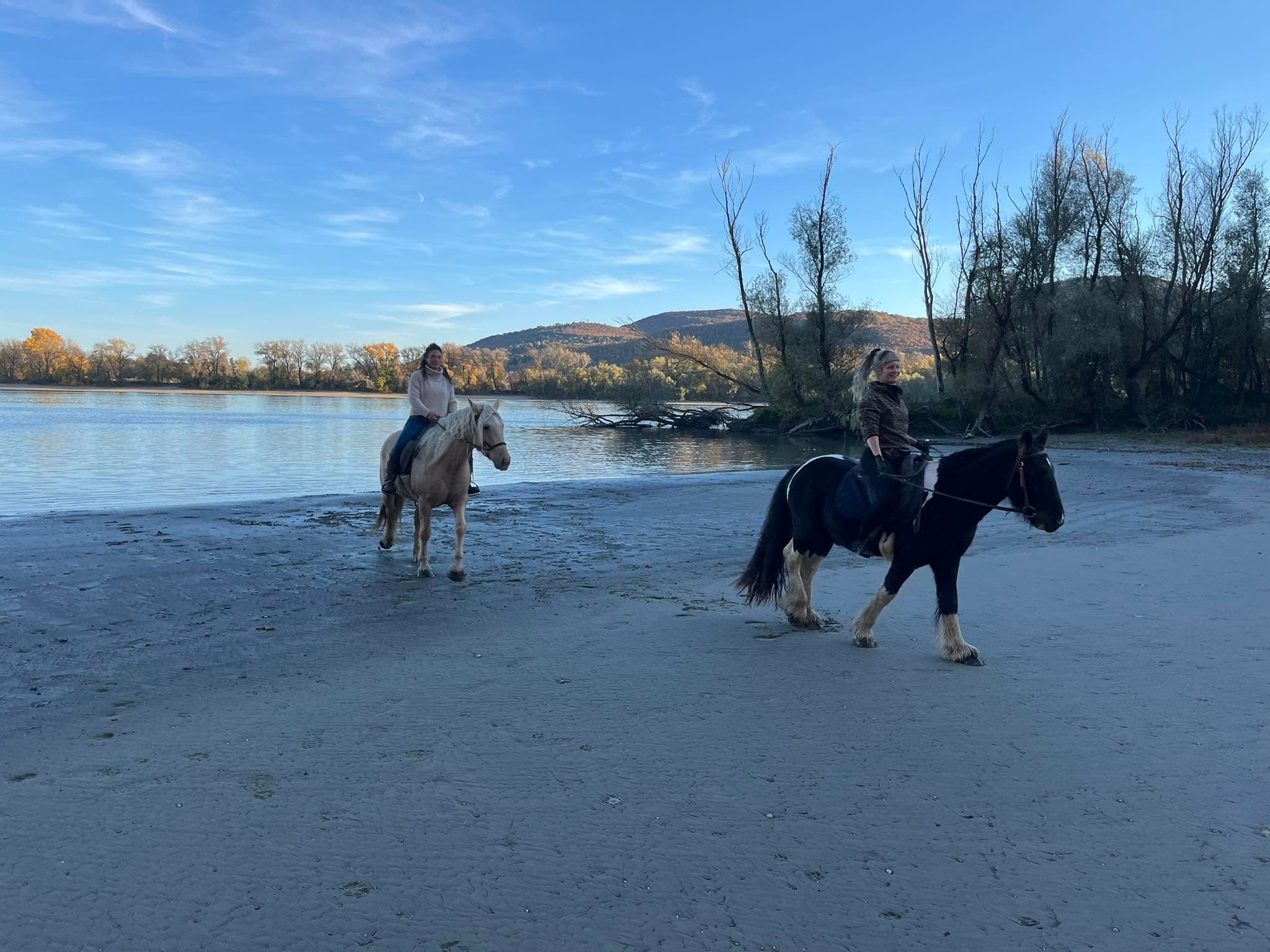 Lovastúrák, sétalovaglások 4